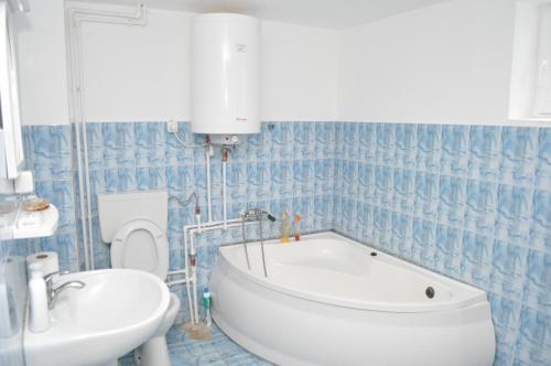 a bathroom with a tub and a toilet and a sink at Casa Verde in Râu de Mori