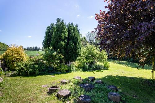 a garden with rocks in the grass with a tree at Agroturystyka Lubaczówka in Sarbinowo