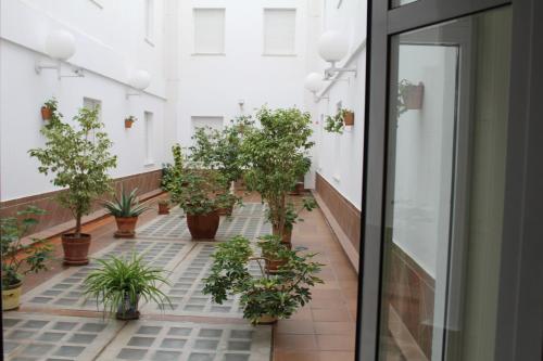 Hotel Peña de Arcosにある庭