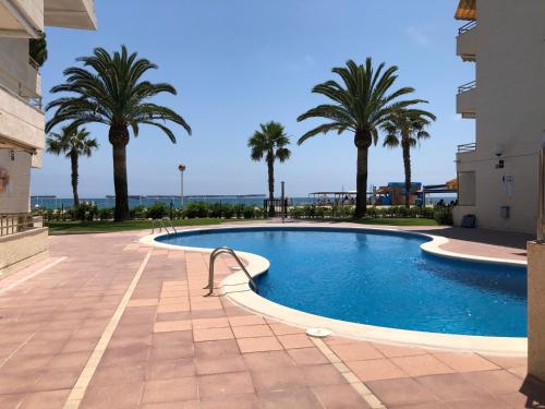 une piscine avec des palmiers en arrière-plan dans l'établissement Apartaments Colibri, à Cambrils