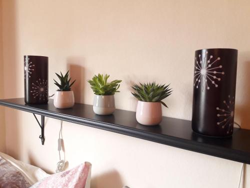 four plants sitting on a shelf on a wall at Traumapartment Pöstlingberg, reservierter Parkplatz, 4 Schlafzimmer in Linz