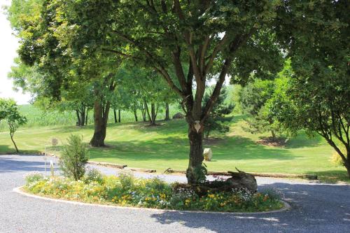 a tree in the middle of a park with flowers at Domaine du Moulin de l'Etang in Châtillon-sur-Marne