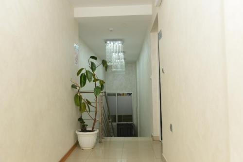 un couloir avec une plante en pot dans une pièce dans l'établissement Hotel Sunce, à Kraljevo