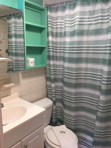 a bathroom with a toilet and a shower curtain at Venice Villas * Studio #60 in Venice
