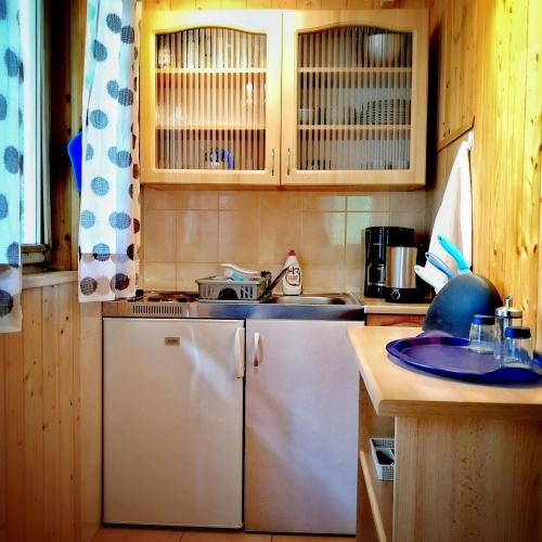 a kitchen with a white refrigerator and a sink at Mistral przy plaży Domki całoroczne in Ustka