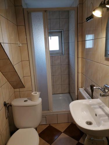a bathroom with a toilet and a sink at U Eli in Wambierzyce