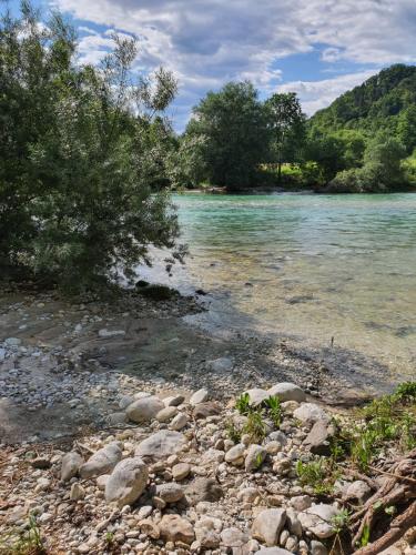 einen Fluss mit Felsen und Bäumen neben dem Wasser in der Unterkunft Camping Garden Park in Radovljica