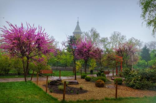 a park with pink trees and benches and a tower at Take PRO Timisoara Apartment in Timişoara