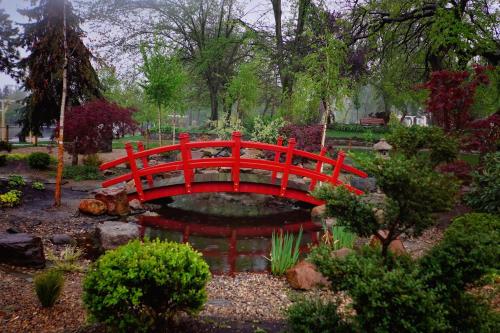 a red bridge over a pond in a garden at Take Timisoara Apartment in Timişoara