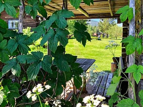 a garden with a wooden pergola and plants at 8 person holiday home in Soller n in Sollerön