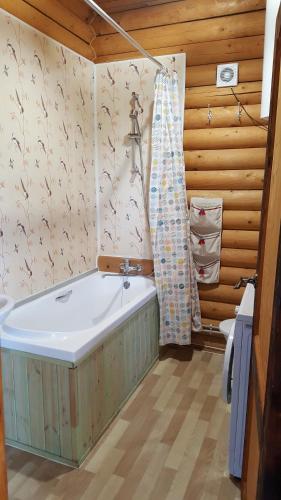 ノヴォミハイロフスキーにあるEcoCottage Podsolnukhのバスルーム(バスタブ、シャワー付)