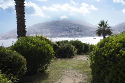 a view of a beach with a palm tree and a mountain at Mare e Vista in Ajaccio