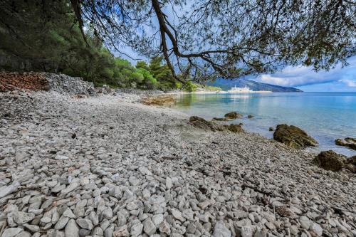 a rocky shoreline with a view of the ocean at Hotel Antica in Stari Grad