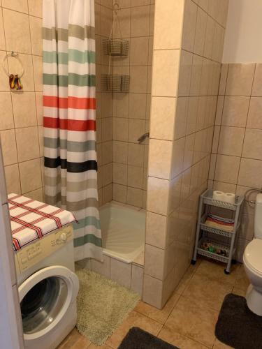 a bathroom with a shower and a washing machine at Agroturystyka in Barczewo
