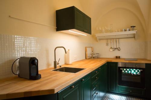 a kitchen with green cabinets and a sink at Renaissancehof Wieser Wachau in Wösendorf