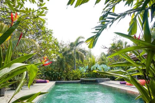 a pool in a garden with green plants at Ibludan Hotel in Senggigi 