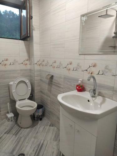 a bathroom with a toilet and a sink at Guest House Proynovi in Kalofer