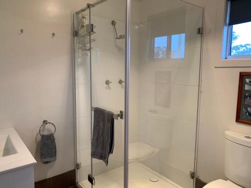 a shower with a glass door in a bathroom at Mascot Cottage - Pet Friendly and Complimentary Breakfast Hamper in West Wyalong