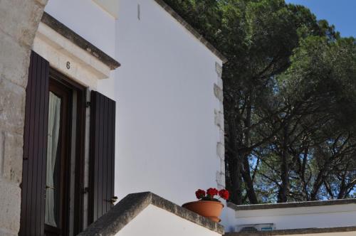 a window of a white house with a potted plant at B&B Villa Rosanna in Fasano