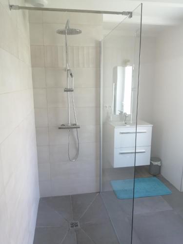 une salle de bain avec douche et lavabo dans l'établissement Gîte l'Escapade au bassin d'Arcachon à Biganos, à Biganos