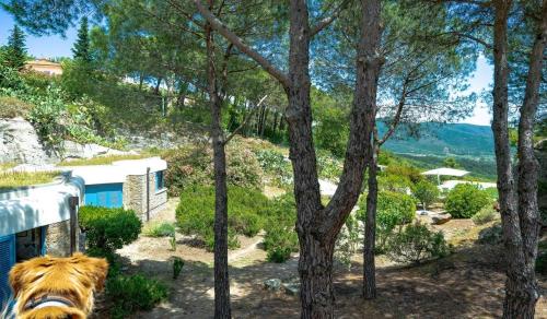 Villa la Quiete – Photos 3