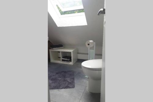 a bathroom with a toilet and a window at Helle 2-Zimmerwohnung am Stadtrand in Hildesheim