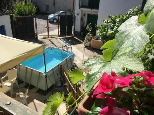a view of a garden with a pool and flowers at Home Langhe in Farigliano