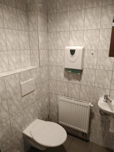 a bathroom with a toilet and a sink at Centrum pro vzdělávání a kulturu in Nový Oldřichov
