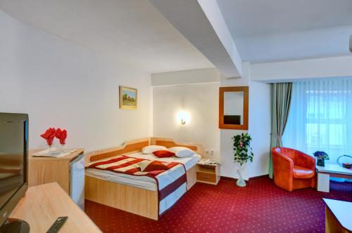 Afbeelding uit fotogalerij van Hotel Cornul Vanatorului in Piteşti
