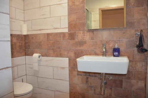 a bathroom with a sink and a toilet at penzion U Koníčka in Strážiště