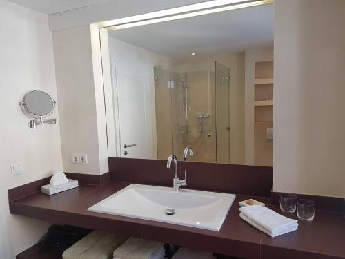 a bathroom with a sink and a large mirror at Ferienwohnungen Garhammer_ Kreuth_ in Kreuth
