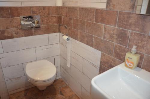 a bathroom with a toilet and a sink at penzion U Koníčka in Strážiště
