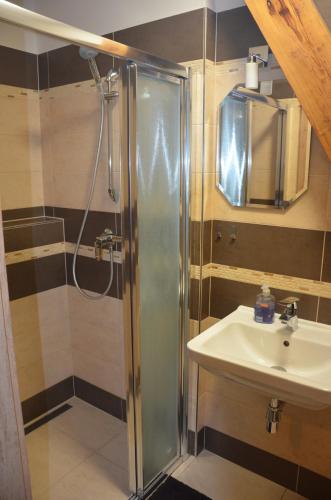 a bathroom with a shower and a sink at penzion U Koníčka in Strážiště