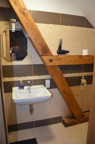 a bathroom with a sink and a mirror at penzion U Koníčka in Strážiště