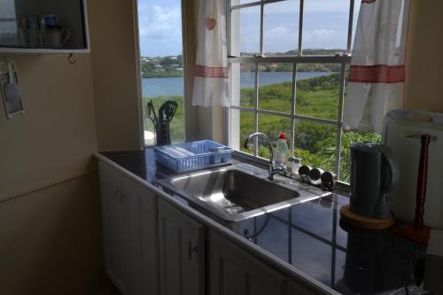 a kitchen with a sink and a window with a view at The Langdon House in Saint Georgeʼs