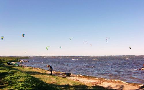 a group of people flying kites over the water at Ferienwohnung Zum Naturstrand in Tremt