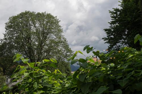 two trees in a field with a cloudy sky at Zu Hause im schönen Tirol in Kirchbichl