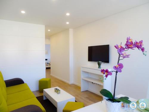 a living room filled with furniture and a tv at RS Porto Campanha in Porto