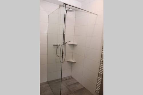 a bathroom with a shower with a glass door at Moderne Ferienwohnung mit privatem Eingang - ROSA in Kalletal