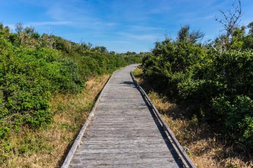 a wooden boardwalk in the middle of a field at Evancy Platier d'Oye - Oye-Plage in Oye-Plage