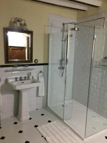 a bathroom with a shower and a sink at Casa San Roque in Chinchón