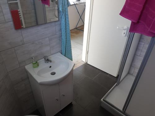 een badkamer met een wastafel en een douche bij Einraum-Ferienwohnung 46m2 Eisenhüttenstadt-Diehlo in Eisenhüttenstadt