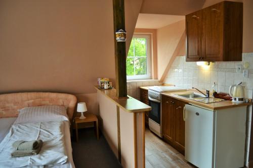 カルロヴィ・ヴァリにあるApartments Nicolの小さなキッチン(ベッド1台、シンク付)