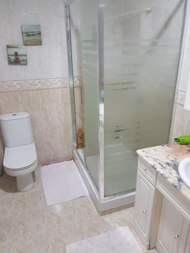 ein Bad mit einer Dusche, einem WC und einem Waschbecken in der Unterkunft Casa Iglesias en pantin in Valdoviño
