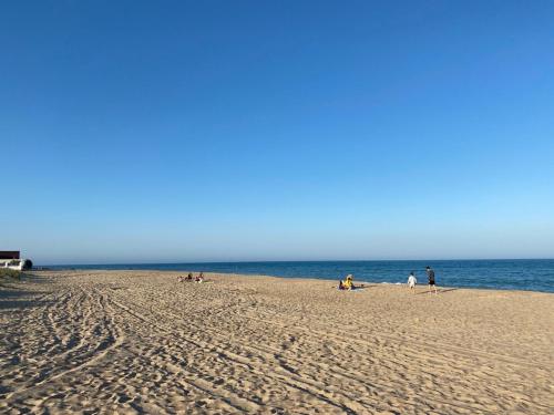 a group of people on a beach near the ocean at Villa Camilla, Затока in Zatoka