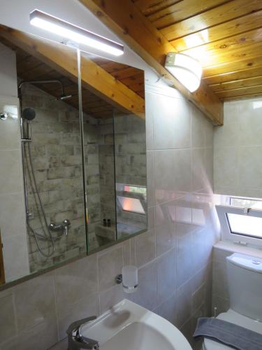 a bathroom with a shower and a toilet and a mirror at Porto Gerakas Villas in Vasilikos