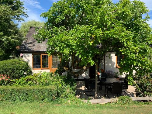 Taman di luar Newton Farmhouse