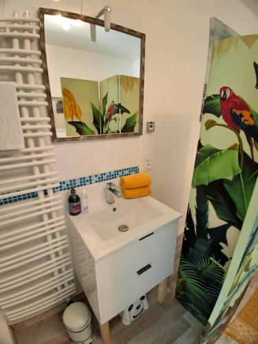 une salle de bain avec un lavabo blanc et un miroir dans l'établissement Gîte OZOO, à Saint-Aignan