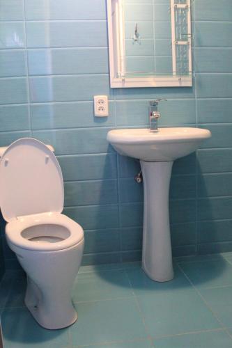 a bathroom with a toilet and a sink at Guest house Racha in Ambrolauri