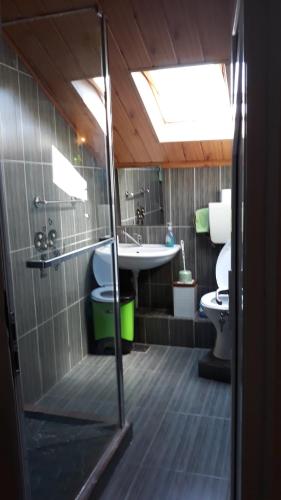 y baño con ducha, lavabo y aseo. en Casa Silvia, en Eforie Nord
